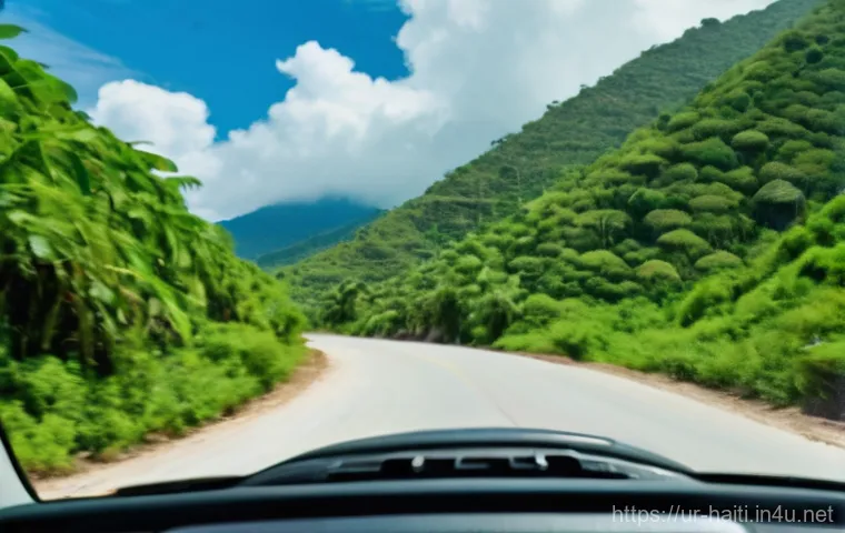 아이티에서 렌터카 이용 시 주의점 - **Prompt:** A detailed image of a confident, adult traveler (male or female, wearing a practical t-s...